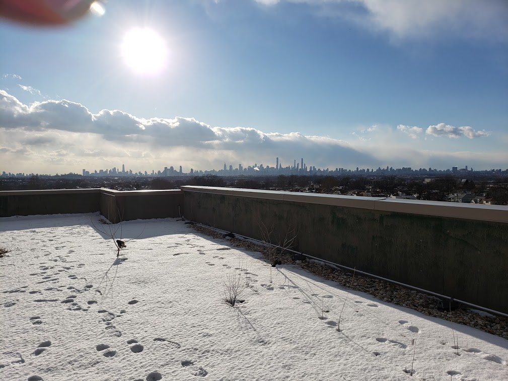 Riedel Roofing and Restoration Images