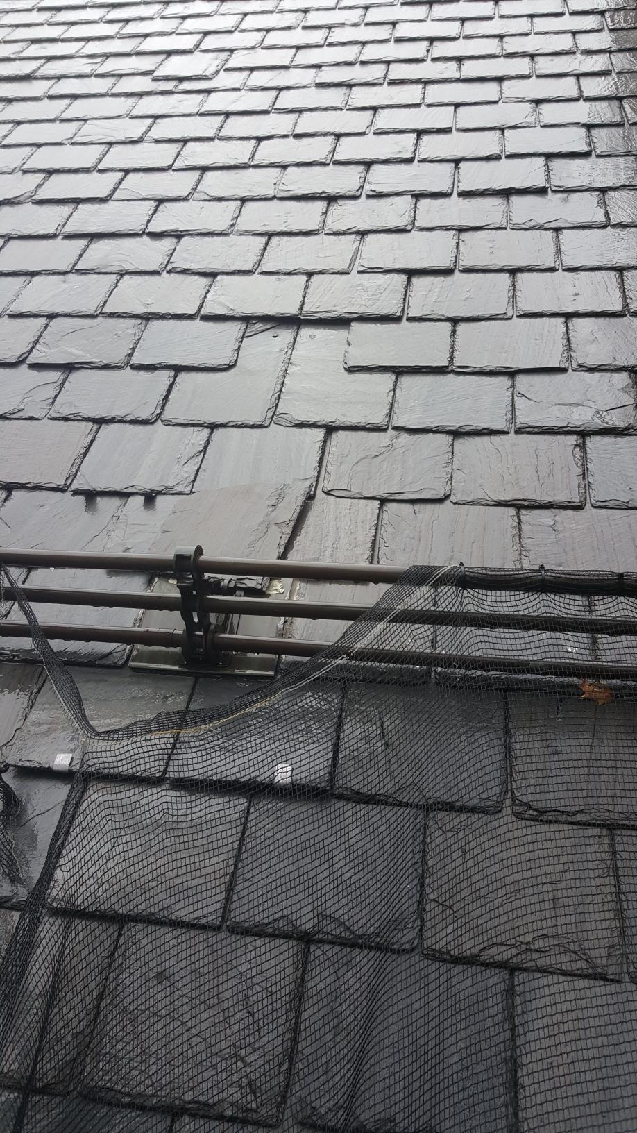 Riedel Roofing and Restoration Images