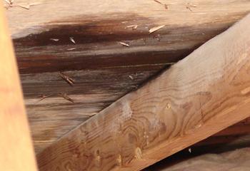 Riedel Roofing and Restoration Images