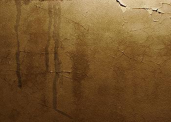 Riedel Roofing and Restoration Images